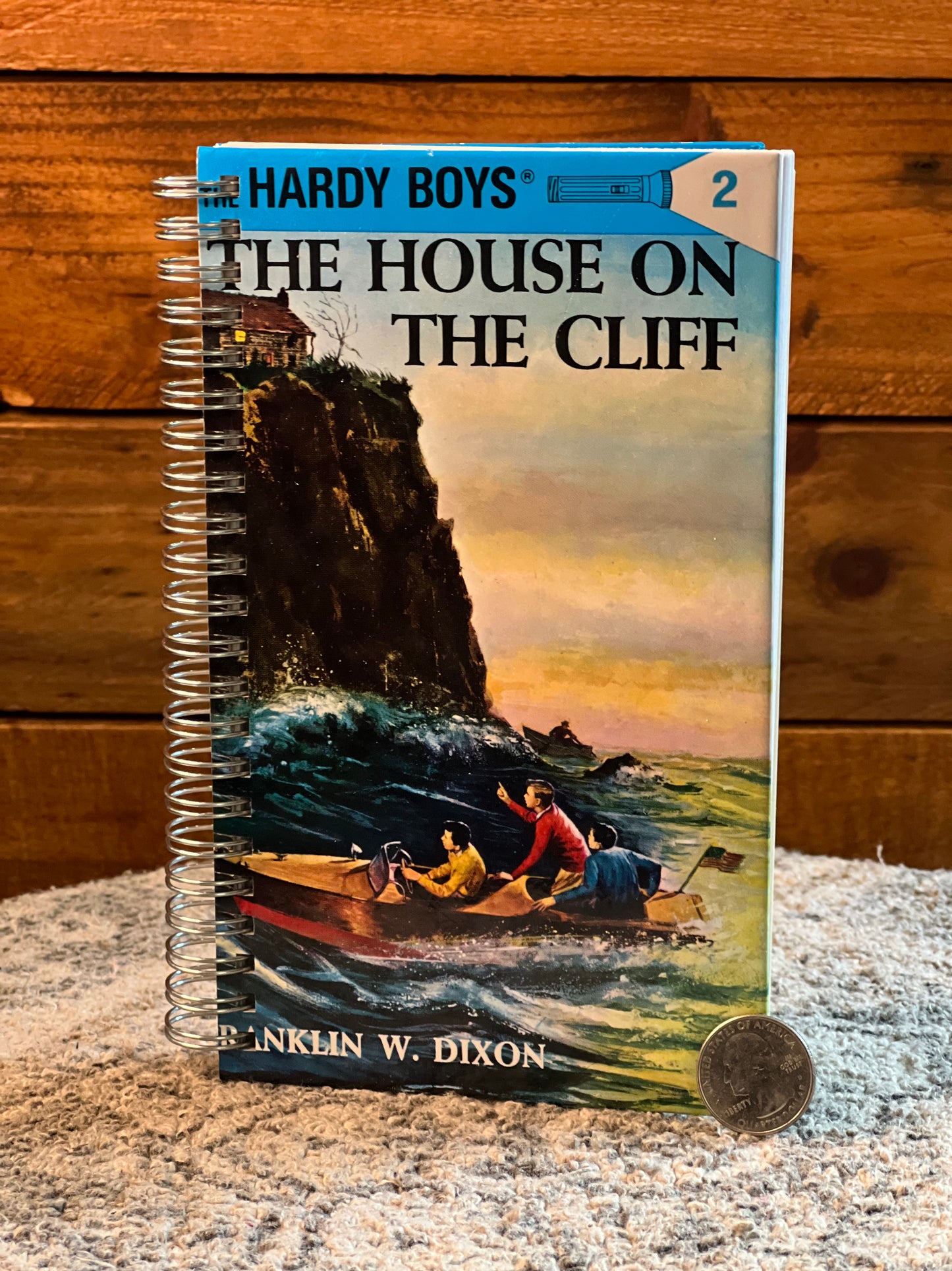 Hardy Boys Vintage Series medium notebook
