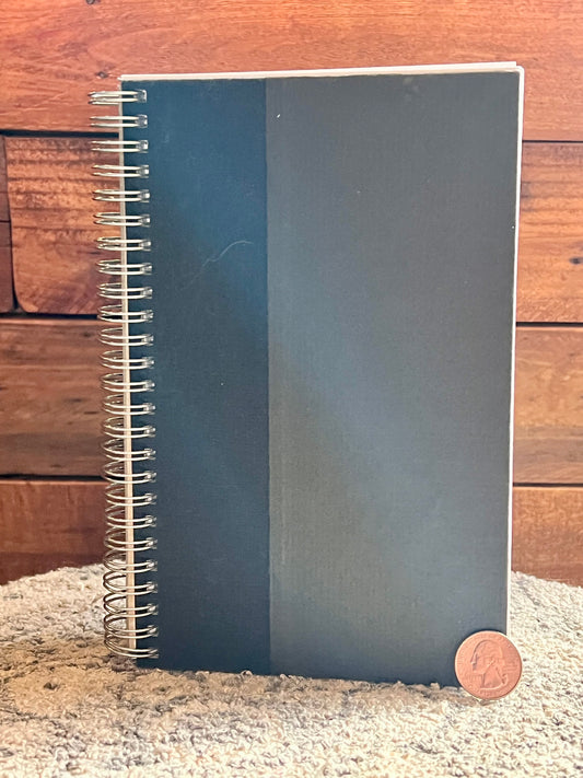 Discarded Mystery medium notebook
