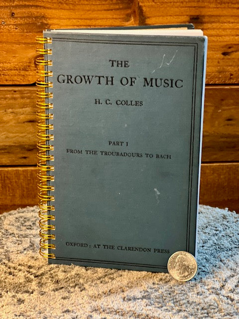 Growth of Music medium notebook